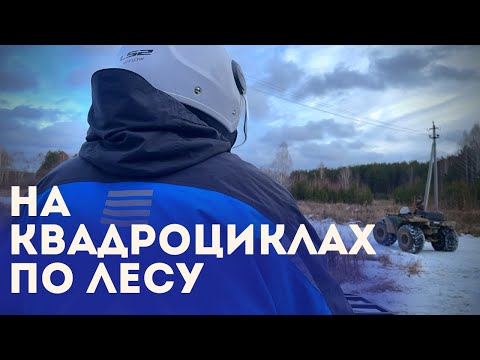 Видео: На квадроциклах по лесу