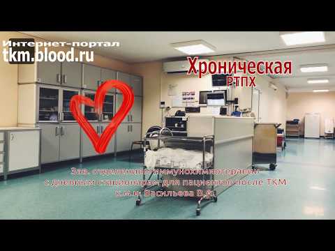 Видео: Школа №3. Хроническая РТПХ