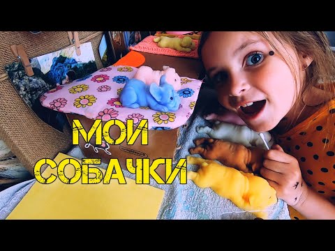 Видео: Мои силиконовые собачки, бульдоги, мопсы