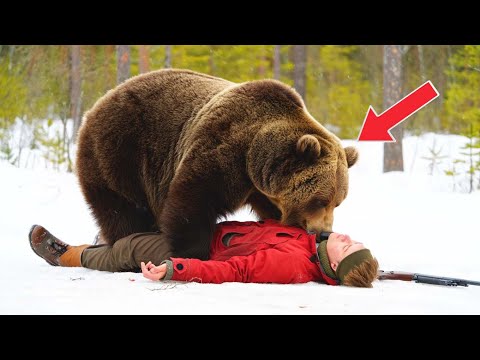 Видео: Умирающий Охотник и Медведь который спас!!!