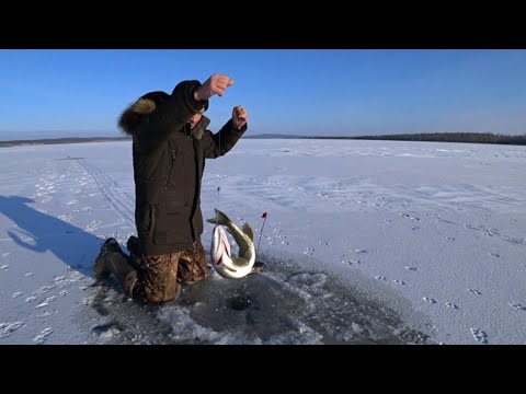 Видео: Озеро Иван. зимняя рыбалка