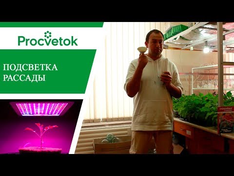 Видео: Подсветка рассады - светодиодные фитолампы для растений. Обзор. Какую выбрать?