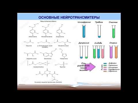 Видео: Фармакология 11. Психотропные средства. Нейролептики, транквилизаторы, седативные средства