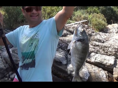 Видео: Снасти и техника ловли дорады на море (Халкидики)