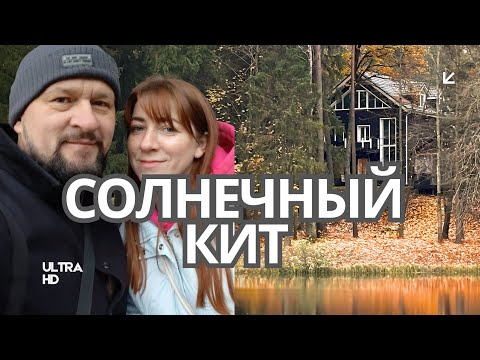 Видео: Домики на воде и разговор по душам в Sunwhale | релакс с женой