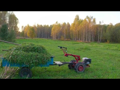 Видео: До новоселья осталось немного, ускоряюсь в работе! Деревенские будни самой красивой поры!