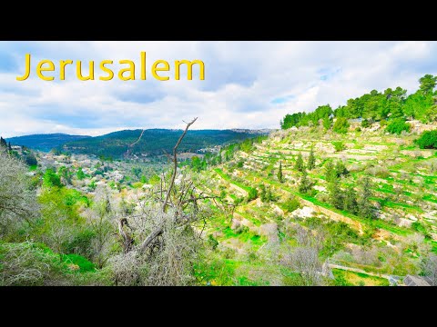 Видео: Природа Иерусалима. Красивая расслабляющая музыка для снятия стресса