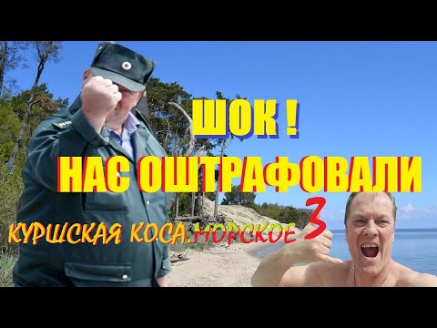 Видео: Куршская коса3🫎МОРСКОЕ у наших ног,или за землянику наложили штраф.ДюнаЭФА,гора Рундерберг(КРУГЛАЯ).