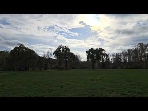 Видео: Прекрасная осень в Ботаническом саду.Кишинёв.