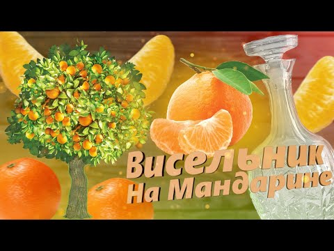 Видео: Настоянка на Мандарині Рецепт (Mandarin tincture. Recipe) (Настойка на Мандарине. Рецепт)