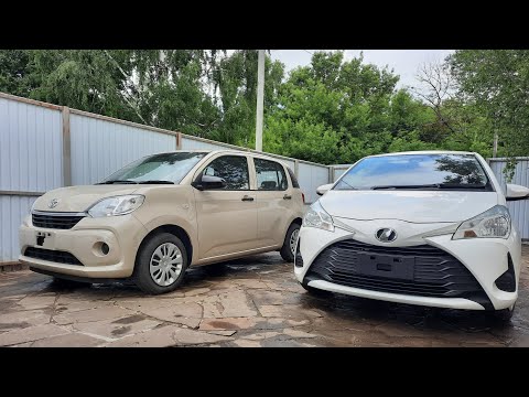 Видео: Ответ моей заказчице Галине! Сравниваем Toyota Passo с Toyota Vitz