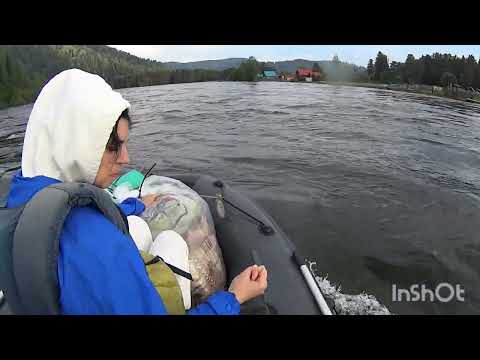 Видео: Сплав по Бии на ПВХ лодке 2023г