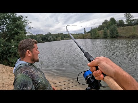 Видео: ПОЙМАЛ! Наконец-то! Ловля карпа - рыбалка на фидер и английскую классику. Карпфишинг