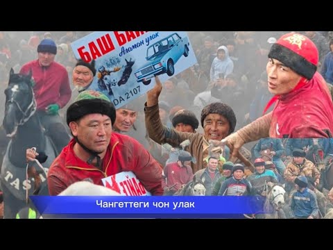 Видео: Чангеттеги чон улак