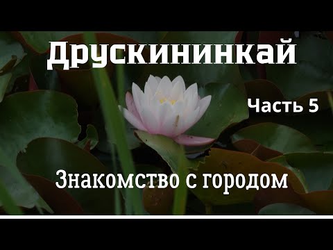 Видео: Друскининкай курорт Литвы#5часть #Lietuva- Знакомство с городом