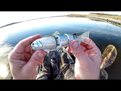 Видео: Нашел приманку, поймал рыбу!