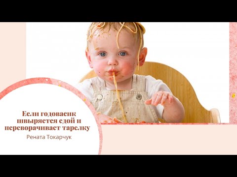 Видео: Если годовасик швыряется едой и переворачивает тарелку  Ответ на вопрос в чате
