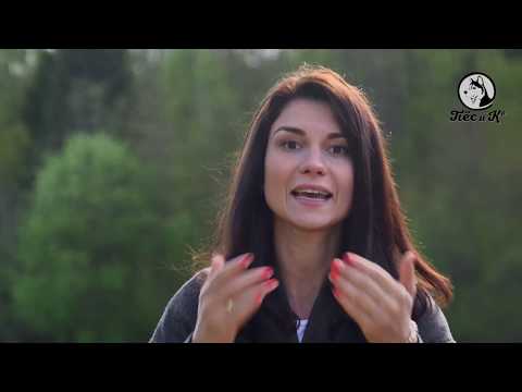 Видео: Такая порода. Порселен