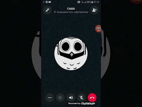 Видео: 25 октября 2025 г.