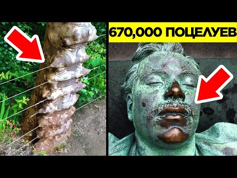 Видео: Сила Времени. Часть 6