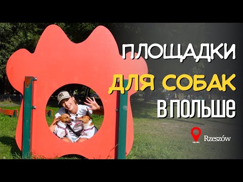 Видео: До свидания, Польша! Обзор Площадок Для Собак в Польше / г.Жешув