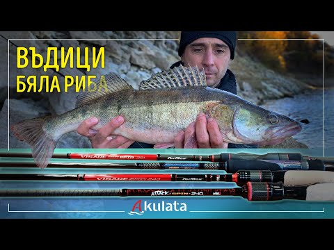 Видео: Въдици за бяла риба на джиг от брега. Ревю на четири модела