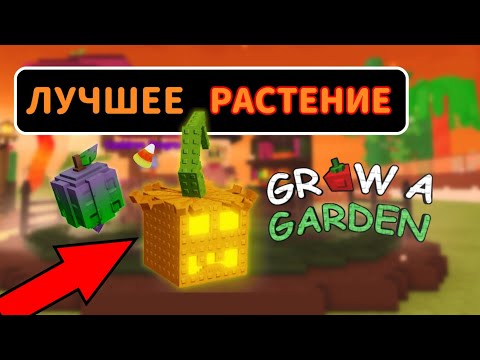 Видео: ЛУЧШЕЕ РАСТЕНИЕ В GROW A GARDEN | ВСЕ НОВЫЕ ХЕЛЛОУИНСКИЕ РАСТЕНИЯ В ГРОВ Э ГАРДЕН | ВЫРАСТИ САД |