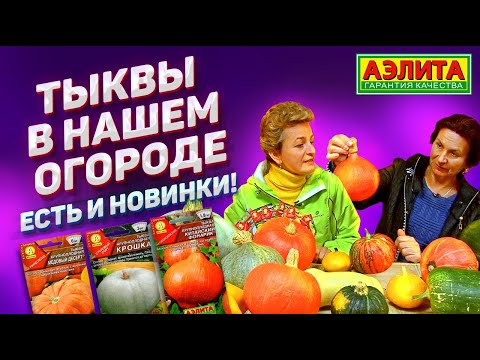 Видео: ТЫКВА и УХОД ЗА НЕЙ – Новинки Сортов Тыквы