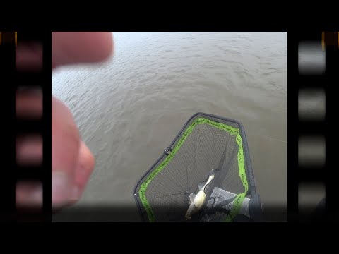 Видео: ЛУЧШЕЕ ЗАКРЫТИЕ СЕЗОНА 2024 . СУДАКИ И ЩУКИ КЛЮЮТ ОДИН ЗА ДРУГИМ .