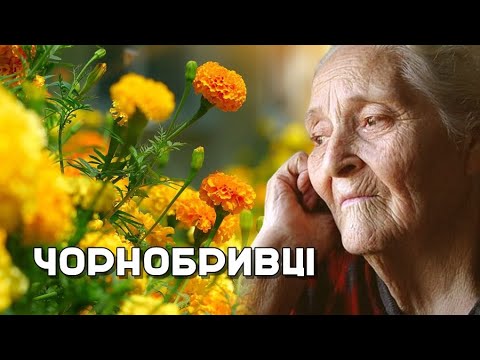 Видео: ЧОРНОБРИВЦI. Співає Вікторія Птах.