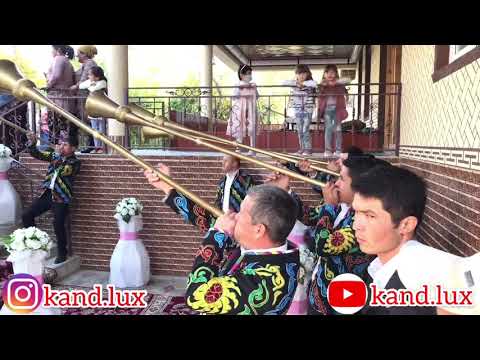 Видео: Свадьба в Канибадаме 2020