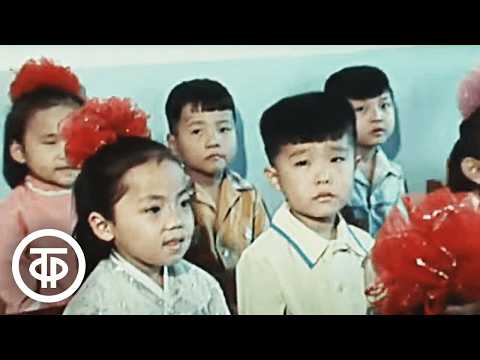 Видео: 38-я параллель. Документальный фильм о Северной Корее (1981)