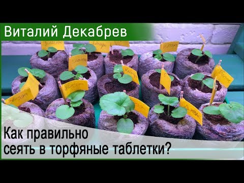 Видео: КАК ПРАВИЛЬНО СЕЯТЬ В ТОРФЯНЫЕ ТАБЛЕТКИ?