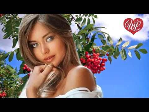 Видео: ПОПЛАКАЛА И ХВАТИТ ♥ РОМАНТИЧЕСКИЕ ИСТОРИИ ЛЮБВИ ♥ WLV ♥ ROMANTIC COLLECTION ♥ RUSSIAN MUSIC HITS