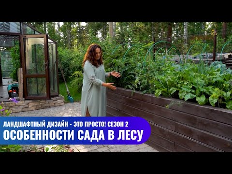 Видео: Особенности сада в лесу // Ландшафтный дизайн - это просто! Сезон 2