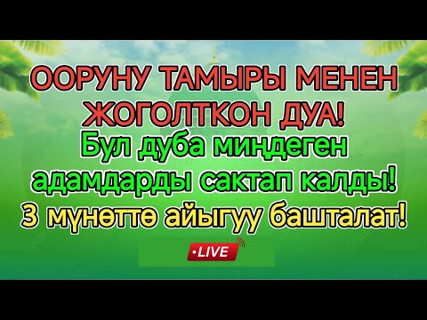 Видео: Пайгамбардын дубасы ооруларды көз ирмемде жок кылып, толук айыктырат ✨