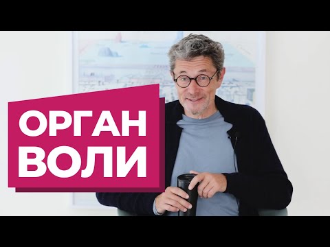 Видео: Орган воли