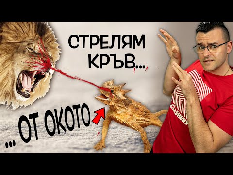 Видео: ТОП 10 ШОКИРАЩИ способности и ЗАЩИТИ на животните