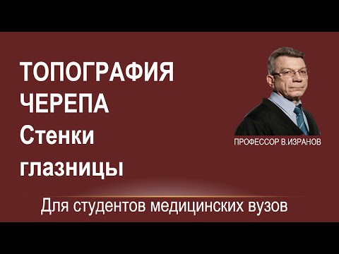 Видео: Топография черепа. Стенки глазницы.