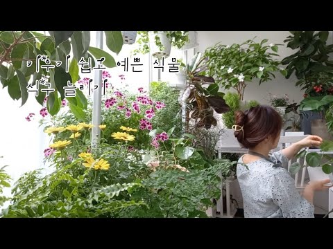 Видео: Легкий рост и красивый растительный сад растения \5/8 сад Веланда.