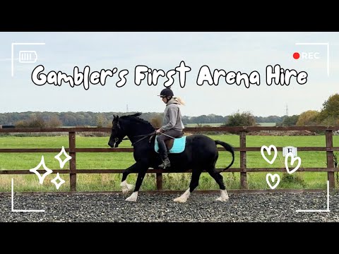 Видео: Можем ли мы превратить мою лошадь по кличке Гэмблер в лошадь для верховой езды, готовую к сезону ...