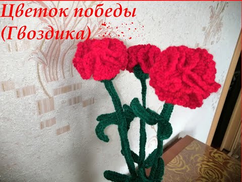 Видео: Цветок победы, гвоздика крючком (для начинающих)