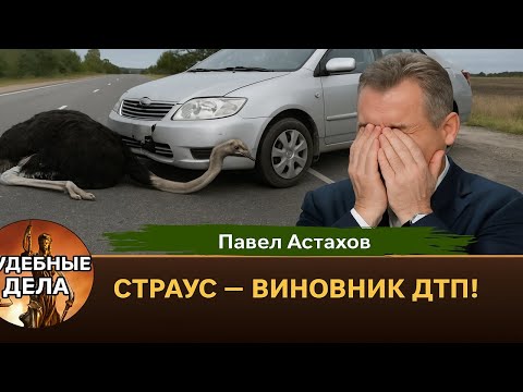 Видео: Страус на дороге! Судебные дела с Павлом Астаховым! Как Избежать Судебные дела?