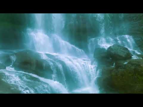 Видео: Тихий водопад среди зелёного леса | Расслабляющий ASMR для релаксации