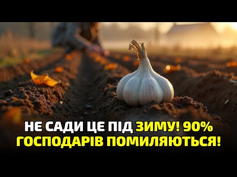 Видео: Не садіть моркву й часник до морозів, поки не дізнаєтесь ЦЕ! Пояснюю просто!