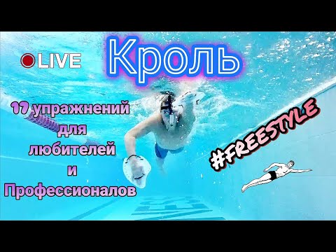 Видео: КРОЛЬ, 17 УПРАЖНЕНИЙ ДЛЯ ЛЮБИТЕЛЕЙ И ПРОФЕССИОНАЛОВ #freestyle #swimming #упражнениядляплавания