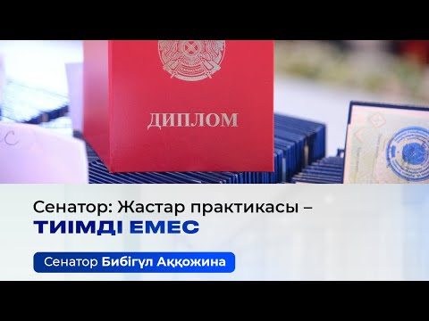 Видео: Бибігүл Аққожина: Жас мамандар мемлекеттік бағдарламалармен базалық төлем шығындарын жаба алмайды