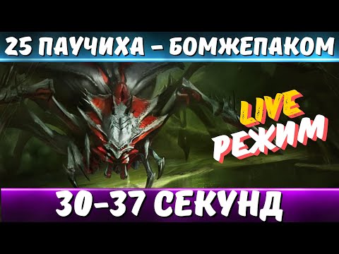 Видео: НАСТРОЙКА МАКСИМАЛЬНО БЮДЖЕТНОЙ КОММАНДЫ НА 25 ПАУЧИХУ В LIVE РЕЖИМЕ - RAID SHADOW LEGENDS!!!