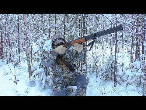 Видео: БЕЗ ВАЛЕРЬЯНКИ НЕ СМОТРЕТЬ!  ВСЯ ПРАВДА КАКИЕ БЫВАЮТ ОХОТЫ НА САМОМ ДЕЛЕ / ОХОТА НА БОРОВУЮ ДИЧЬ.