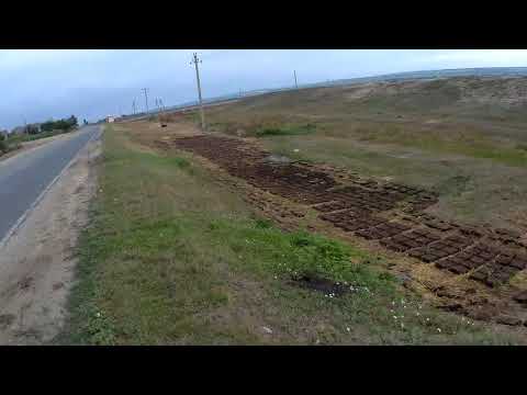 Видео: Заготовка топлива из навоза (кизяк). Велопоход по Молдове 2018 #13